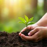 Hands planting a tree outside the clinic